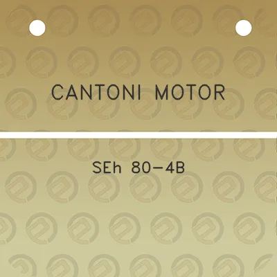 cantoni-motor-seh-80-4b