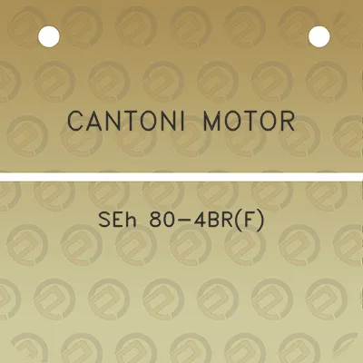 cantoni-motor-seh-80-4brf