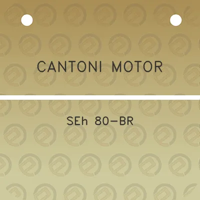 cantoni-motor-seh-80-br