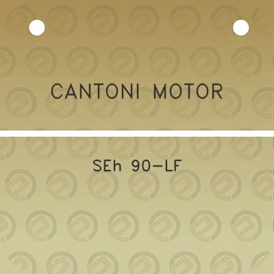 cantoni-motor-seh-90-lf