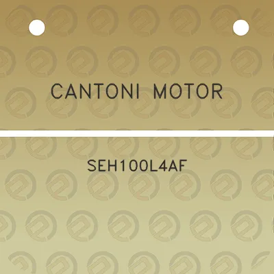 cantoni-motor-seh100l4af