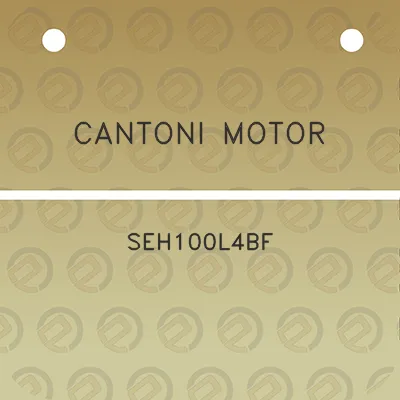 cantoni-motor-seh100l4bf