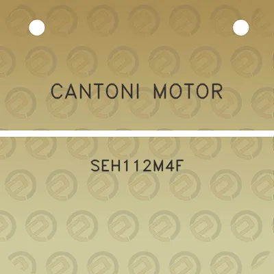 cantoni-motor-seh112m4f