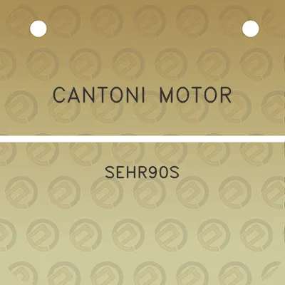 cantoni-motor-sehr90s