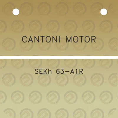 cantoni-motor-sekh-63-a1r