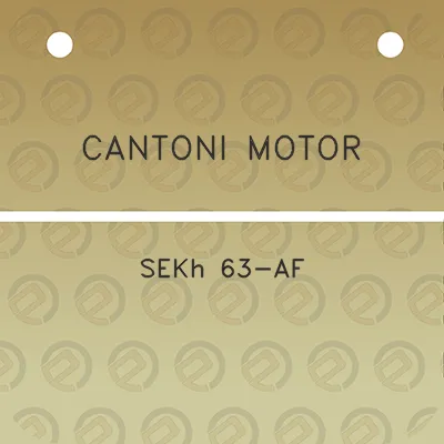 cantoni-motor-sekh-63-af