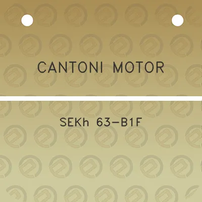 cantoni-motor-sekh-63-b1f