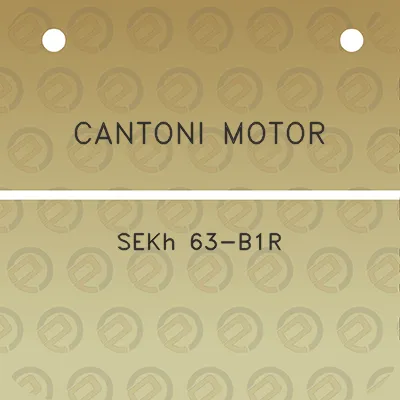 cantoni-motor-sekh-63-b1r