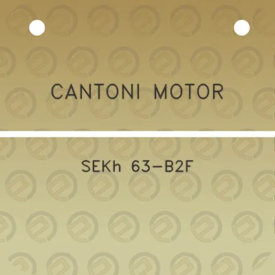 cantoni-motor-sekh-63-b2f