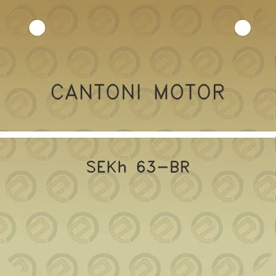 cantoni-motor-sekh-63-br