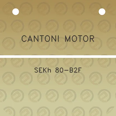 cantoni-motor-sekh-80-b2f