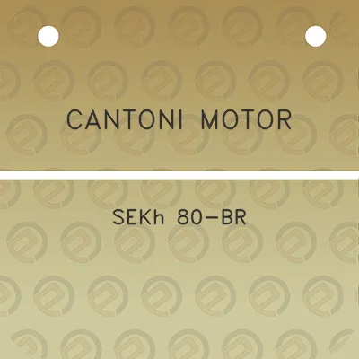 cantoni-motor-sekh-80-br