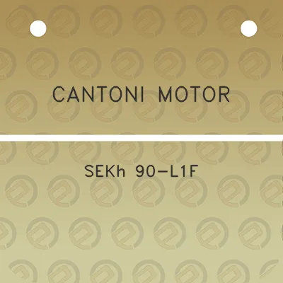 cantoni-motor-sekh-90-l1f