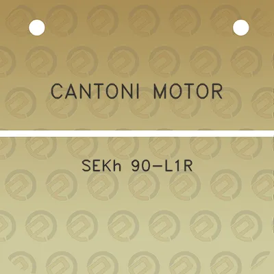 cantoni-motor-sekh-90-l1r