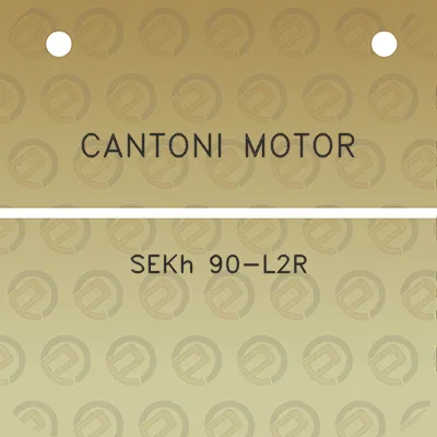 cantoni-motor-sekh-90-l2r