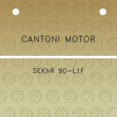 cantoni-motor-sekhr-90-l1f