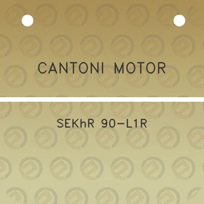 cantoni-motor-sekhr-90-l1r