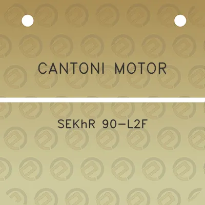 cantoni-motor-sekhr-90-l2f