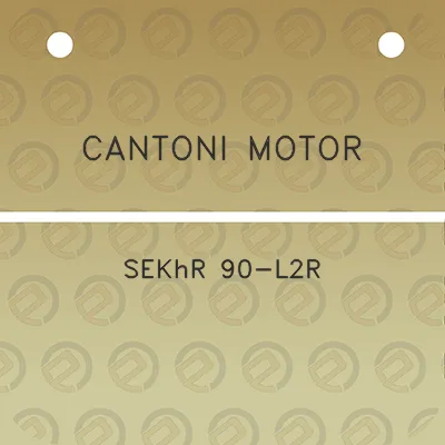 cantoni-motor-sekhr-90-l2r