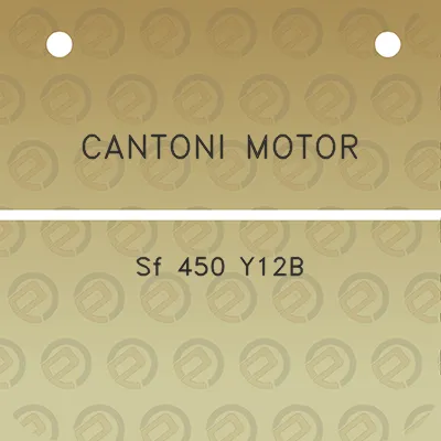 cantoni-motor-sf-450-y12b