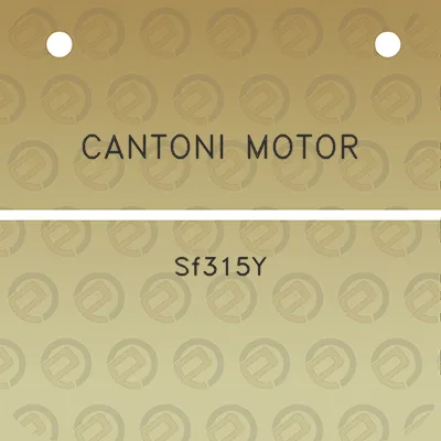 cantoni-motor-sf315y