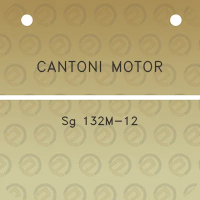 cantoni-motor-sg-132m-12