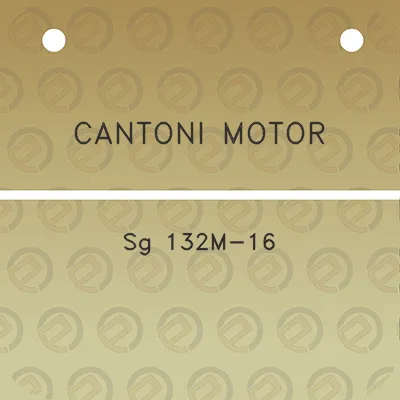 cantoni-motor-sg-132m-16