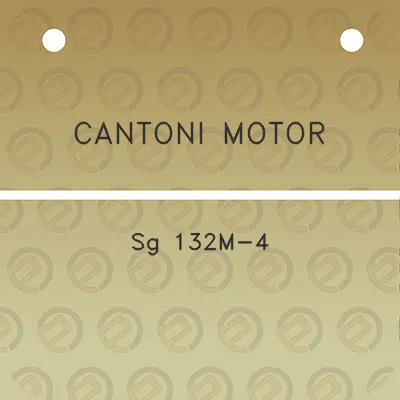 cantoni-motor-sg-132m-4