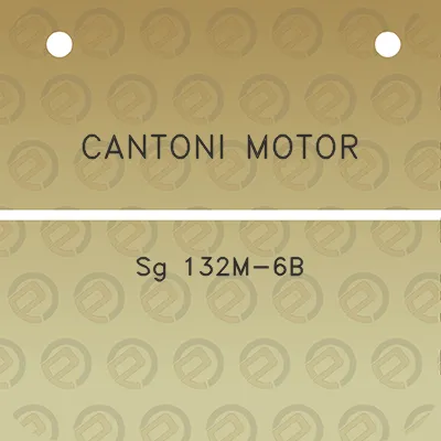 cantoni-motor-sg-132m-6b