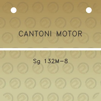 cantoni-motor-sg-132m-8