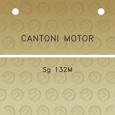 cantoni-motor-sg-132m