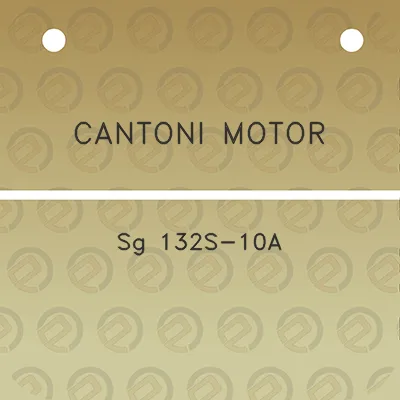 cantoni-motor-sg-132s-10a