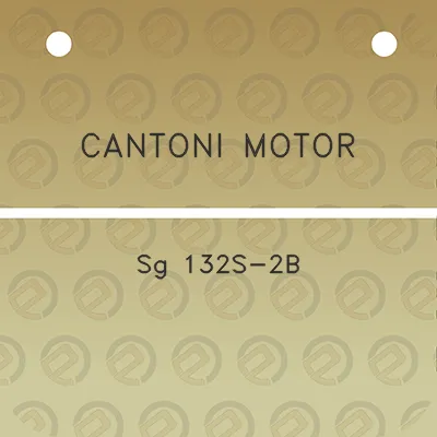 cantoni-motor-sg-132s-2b