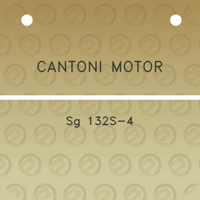 cantoni-motor-sg-132s-4