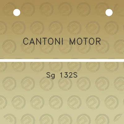 cantoni-motor-sg-132s