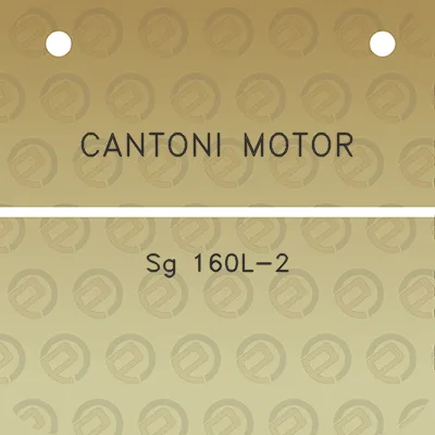 cantoni-motor-sg-160l-2