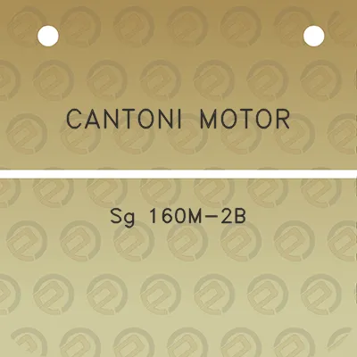 cantoni-motor-sg-160m-2b