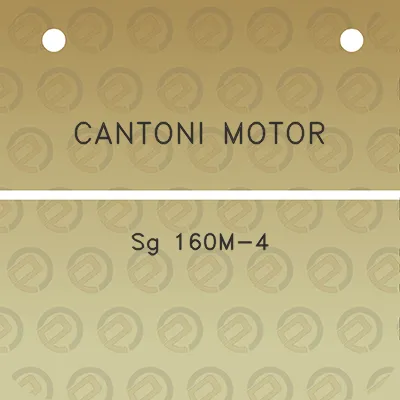 cantoni-motor-sg-160m-4