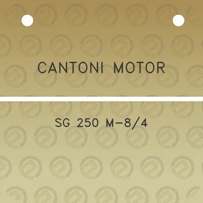 cantoni-motor-sg-250-m-84