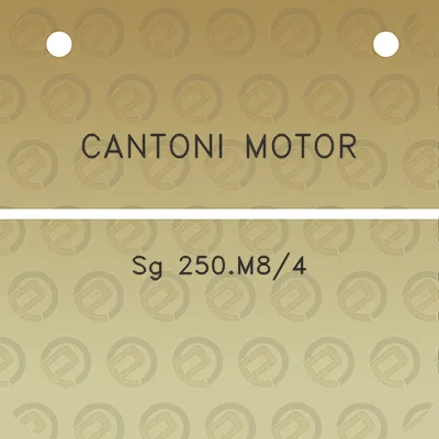 cantoni-motor-sg-250m84