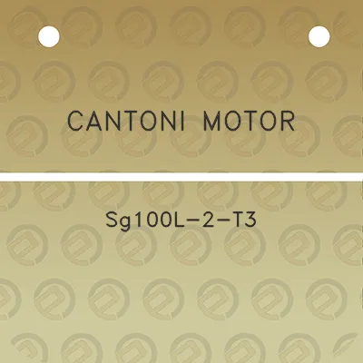 cantoni-motor-sg100l-2-t3