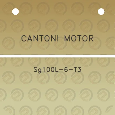 cantoni-motor-sg100l-6-t3