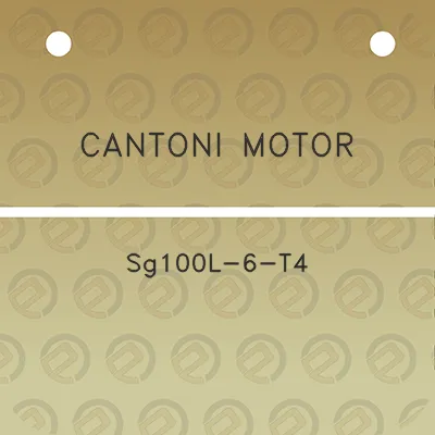 cantoni-motor-sg100l-6-t4