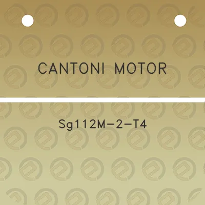 cantoni-motor-sg112m-2-t4