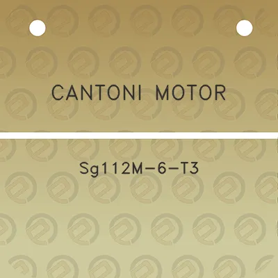 cantoni-motor-sg112m-6-t3