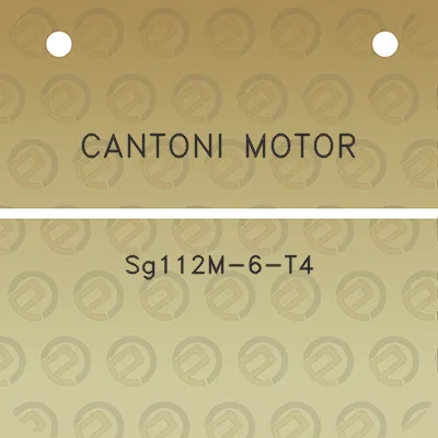 cantoni-motor-sg112m-6-t4