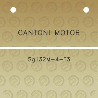 cantoni-motor-sg132m-4-t3