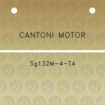 cantoni-motor-sg132m-4-t4