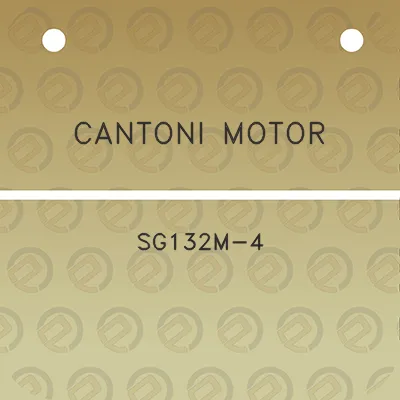 cantoni-motor-sg132m-4