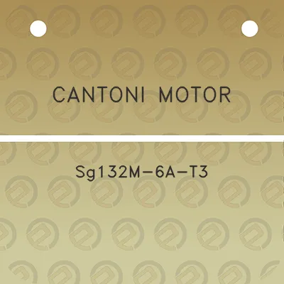 cantoni-motor-sg132m-6a-t3